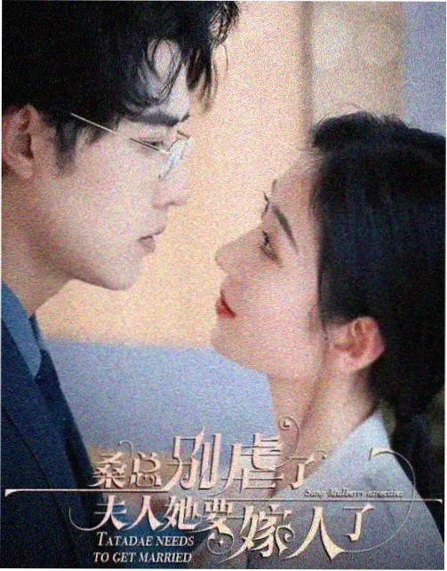 红叶电影剧集推荐：人间烟火录 海报